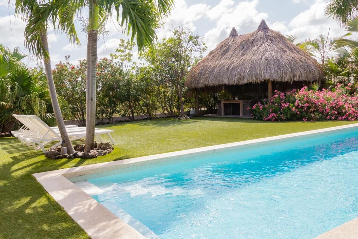 Stylish 4 Bedroom Modern Villa Design, Walking Distance From The Beach Jan Thiel 외부 사진